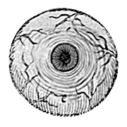 Eye animation that follows the user